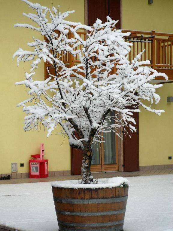 Agritur Ai Masi Pergolese Exterior foto